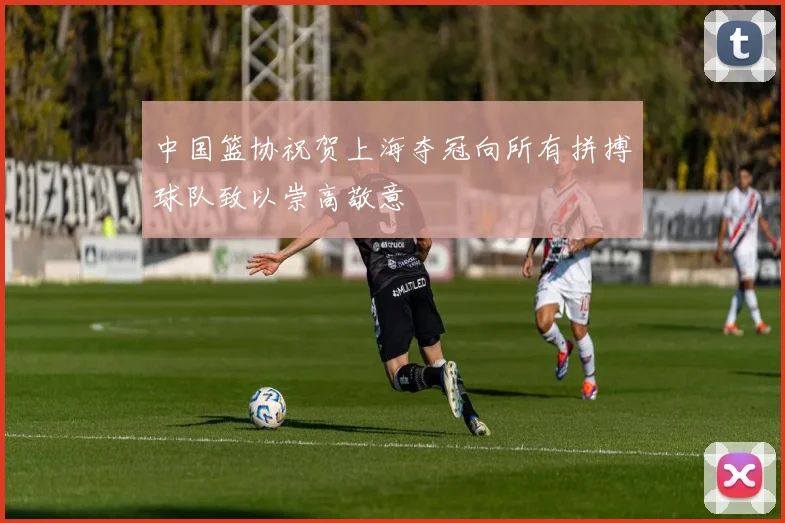 中国篮协祝贺上海夺冠向所有拼搏球队致以崇高敬意