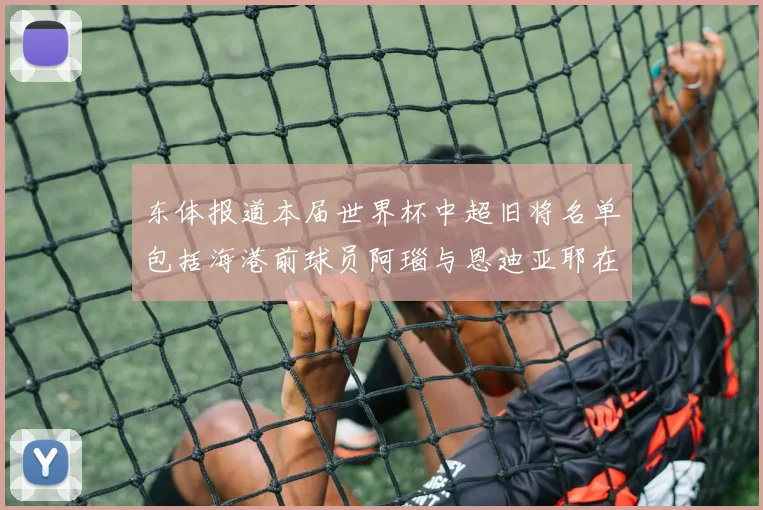 东体报道本届世界杯中超旧将名单包括海港前球员阿瑙与恩迪亚耶在内的10位球员